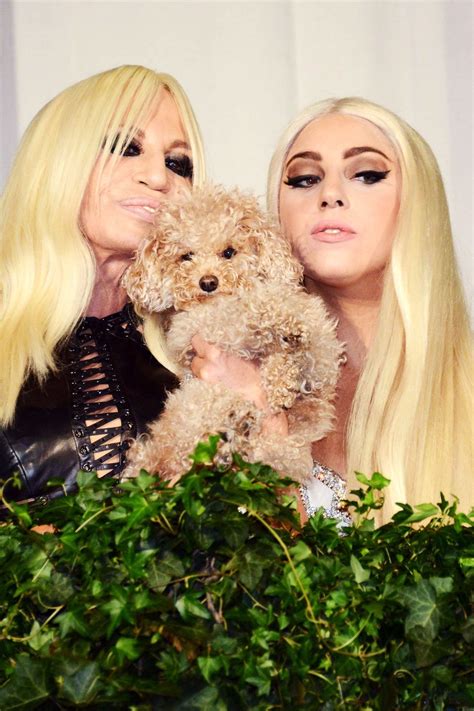 donatella versace lady gaga song|lady gaga donatella.